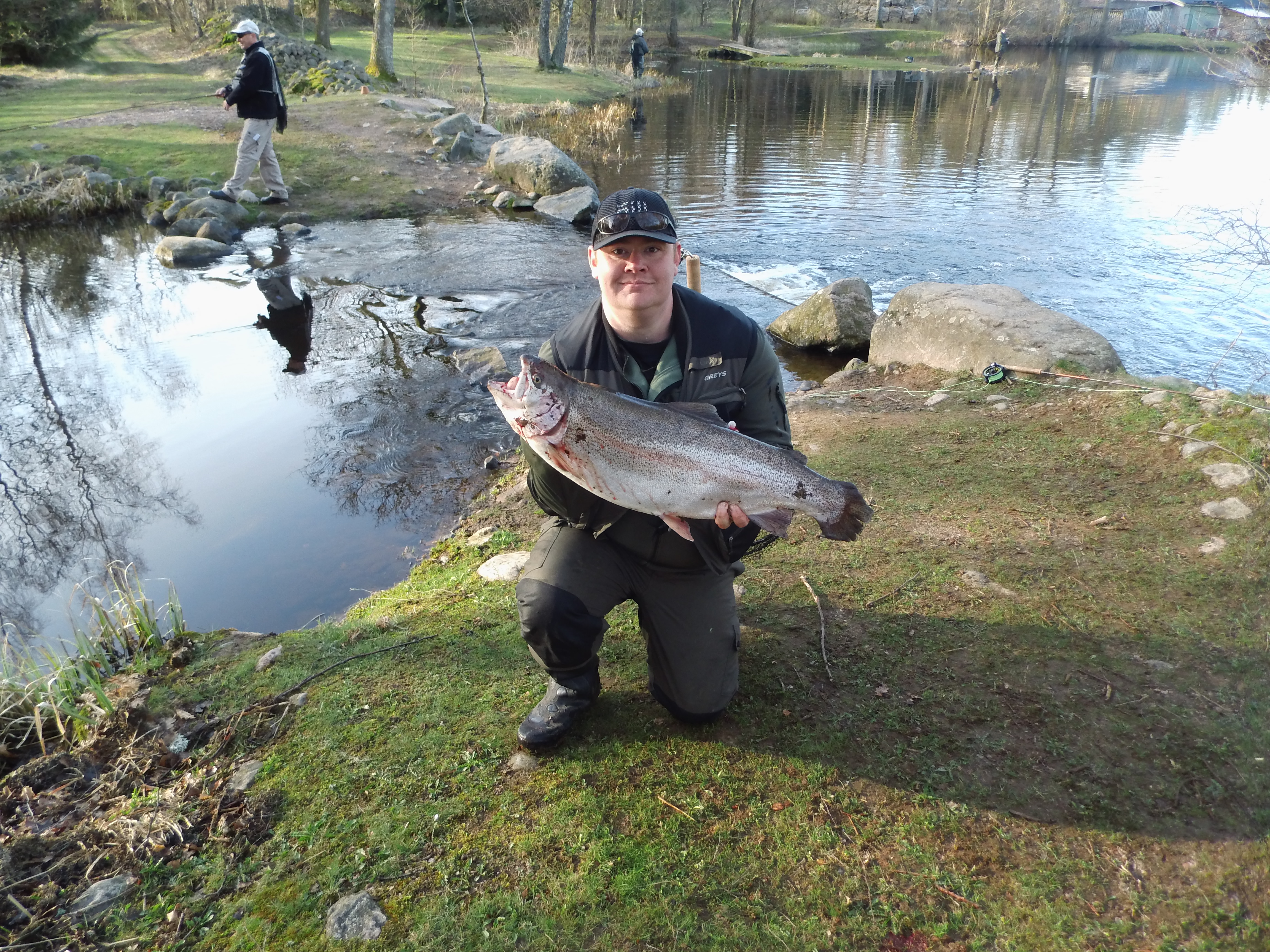 Fluefanget regnbueørred på 7,6 Kg
